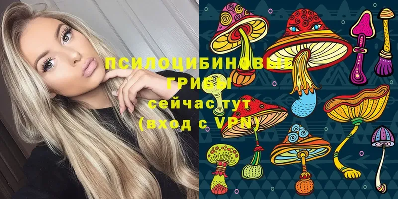 как найти   Суровикино  Галлюциногенные грибы Psilocybe 